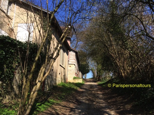 Path2-to-the-fields@Auvers.jpg
