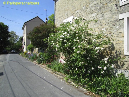 Street1@Auvers.jpg