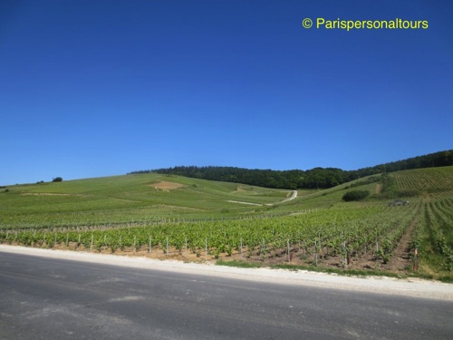 Champagne-road-view1.jpg