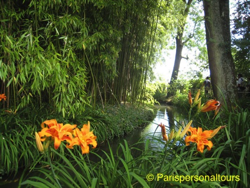 Bambbo-grove@Giverny.jpg