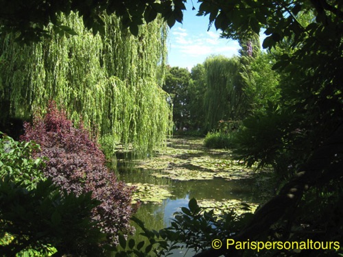 Pond-in-vegetal-frame@Giverny2.jpg