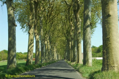 Road-to-Vaux.jpg